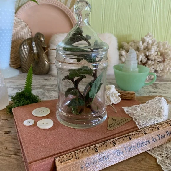 Vintage Glass Canister 🫙 - Picture 5 of 9